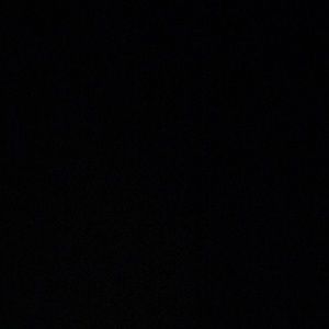 Meet your Posher, Samuel